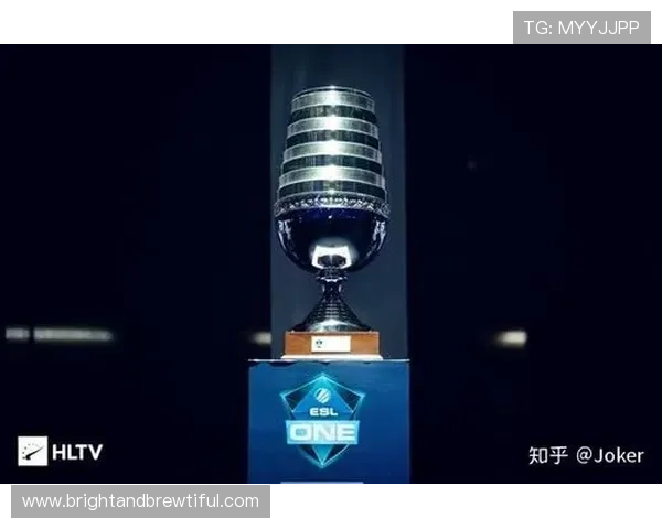 库博体育主页用户体验优化措施提升您的使用便捷性和安全性